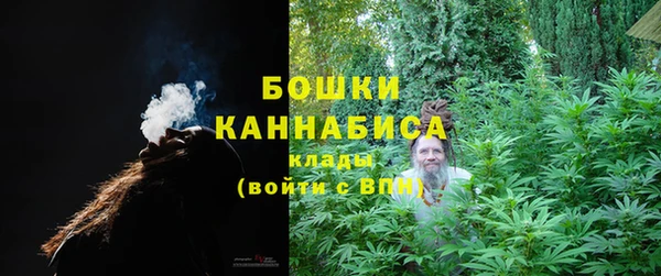 трава Бронницы
