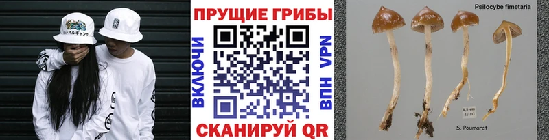 магазин продажи   Сосногорск  Галлюциногенные грибы мухоморы 